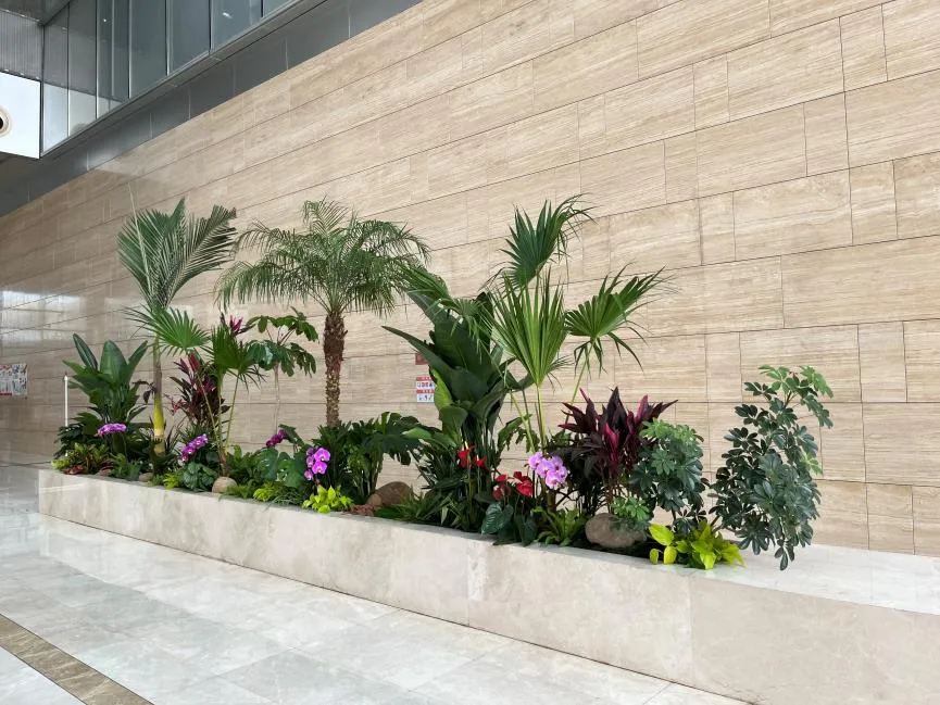 揭秘鄞州花木租赁价格的那些事儿