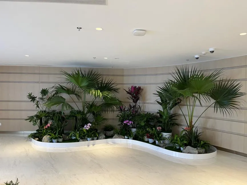 宁波奉化花卉租赁公司